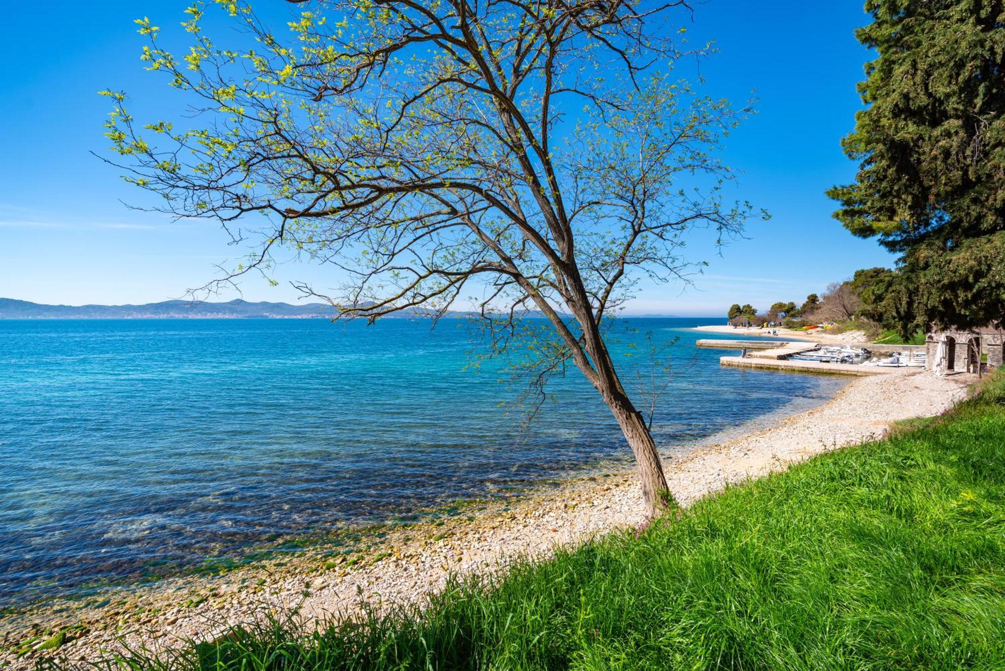 Kolovare Garden Oasis - First Row By Sea Apartamento Zadar Exterior foto